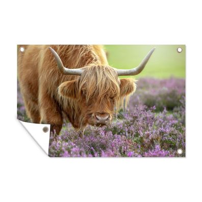 Gartenposter - Schottisches Hochlandrind - Lila - Blumen - 120x80 cm - Gartendeko