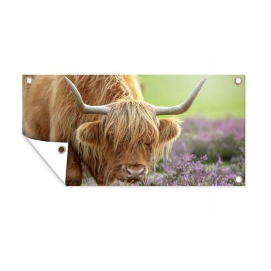 Gartenposter - Schottisches Hochlandrind - Lila - Blumen - 80x40 cm - Gartendeko