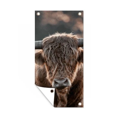 Gartenposter - Schottisches Hochlandrind - Mantel - Porträt - 30x60 cm - Gartendeko