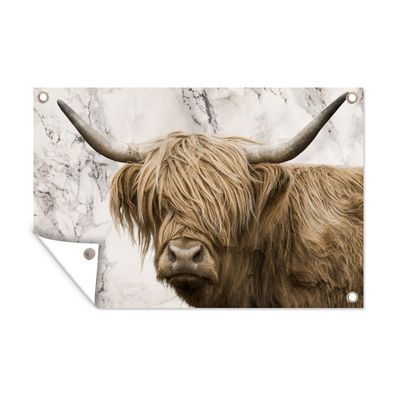 Gartenposter - Schottisches Hochlandrind - Marmor - Tiere - 180x120 cm - Gartendeko