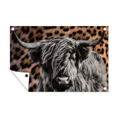 Gartenposter - Schottisches Hochlandrind - Pantherdruck - Tiere - 120x80 cm - Gartend