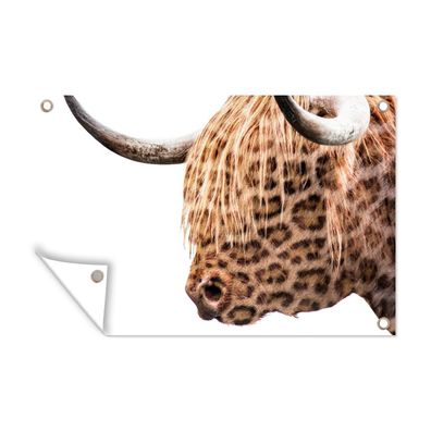 Gartenposter - Schottisches Hochlandrind - Pantherdruck - Weiß - 60x40 cm - Gartendek