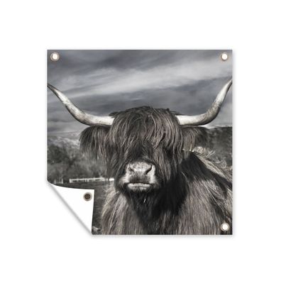 Gartenposter - Schottisches Hochlandrind - Porträt - Schwarz - Weiß - 50x50 cm - Gart
