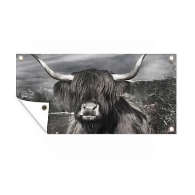 Gartenposter - Schottisches Hochlandrind - Porträt - Schwarz - Weiß - 80x40 cm - Gart