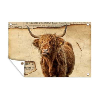 Gartenposter - Schottisches Hochlandrind - Retro - Zeitungsartikel - 60x40 cm - Garte