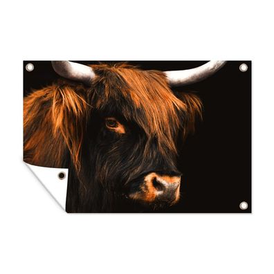 Gartenposter - Schottisches Hochlandrind - Schwarz - Horn - 180x120 cm - Gartendeko