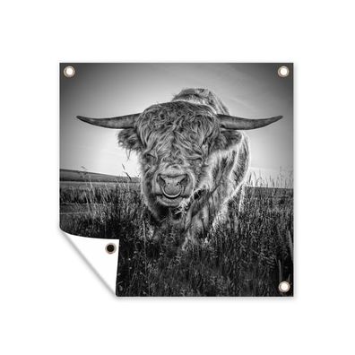 Gartenposter - Schottisches Hochlandrind - Schwarz - Weiß - 200x200 cm - Gartendeko