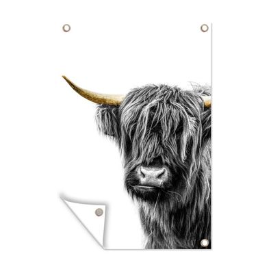 Gartenposter - Schottisches Hochlandrind - Schwarz - Weiß - Gold - 120x180 cm - Garte