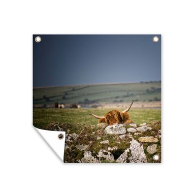 Gartenposter - Schottisches Hochlandrind - Steine - Gras - 40x30 cm - Gartendeko