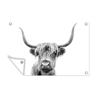 Gartenposter - Schottisches Hochlandrind - Stier - Schwarz - Weiß - 120x80 cm - Garte