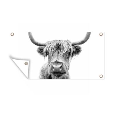 Gartenposter - Schottisches Hochlandrind - Stier - Tiere - Schwarz - Weiß - 160x80 cm