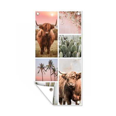 Gartenposter - Schottisches Hochlandrind - Sukkulente - Pastell - 40x80 cm - Gartende