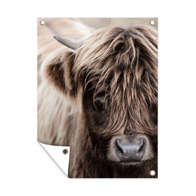 Gartenposter - Schottisches Hochlandrind - Tier - Hoorn - 60x80 cm - Gartendeko