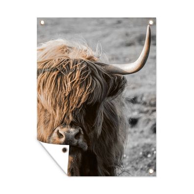 Gartenposter - Schottisches Hochlandrind - Tier - Porträt - 90x120 cm - Gartendeko
