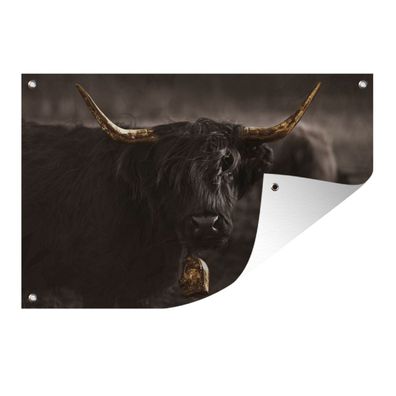 Gartenposter - Schottisches Hochlandrind - Tier - Schwarz - Weiß - 90x60 cm - Gartend