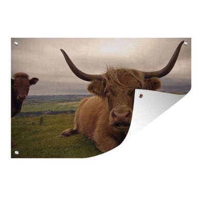 Gartenposter - Schottisches Hochlandrind - Tiere - Berg - 60x40 cm - Gartendeko