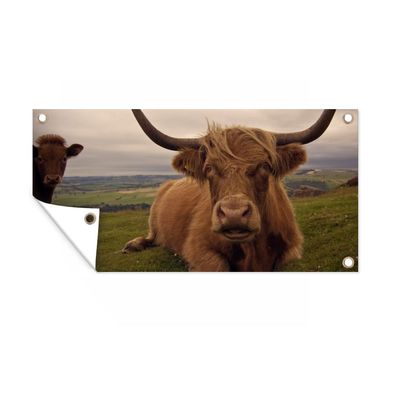 Gartenposter - Schottisches Hochlandrind - Tiere - Berg - 80x40 cm - Gartendeko