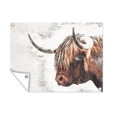 Gartenposter - Schottisches Hochlandrind - Tiere - Bleistift - 120x90 cm - Gartendeko