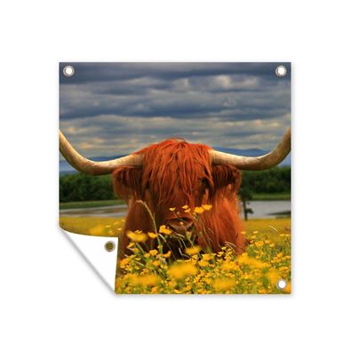 Gartenposter - Schottisches Hochlandrind - Tiere - Blumen - 100x100 cm - Gartendeko