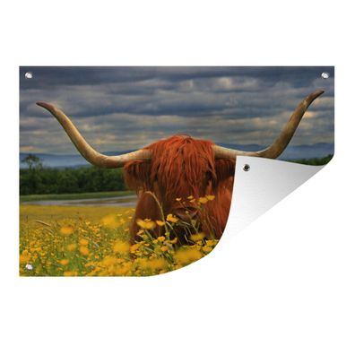 Gartenposter - Schottisches Hochlandrind - Tiere - Blumen - 180x120 cm - Gartendeko