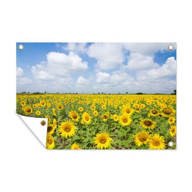 Gartenposter - Sonnenblumen - Wolken - Natur - 120x80 cm - Gartendeko