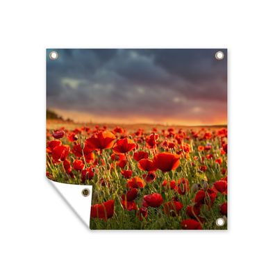 Gartenposter - Sonnenuntergang - Mohnblumen - Rot - 100x100 cm - Gartendeko