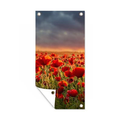 Gartenposter - Sonnenuntergang - Mohnblumen - Rot - 100x200 cm - Gartendeko