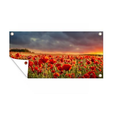 Gartenposter - Sonnenuntergang - Mohnblumen - Rot - 160x80 cm - Gartendeko