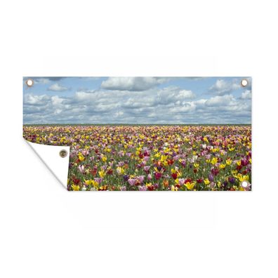 Gartenposter - Tulpen - Farben - Wolken - 60x30 cm - Gartendeko