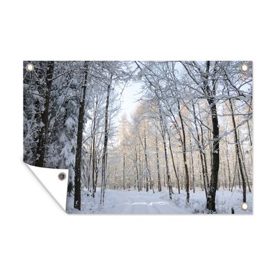 Gartenposter - Wald - Weg - Schnee - 90x60 cm - Gartendeko
