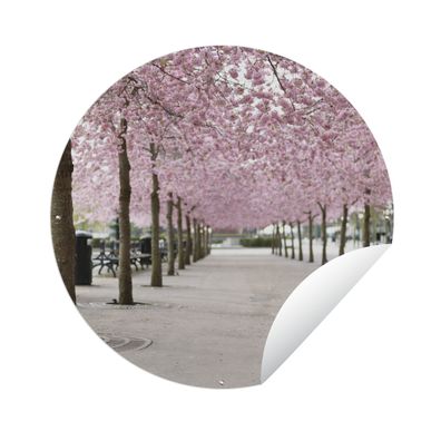 Gartenposter Rund - Frühling - Sakura - Bäume - Ø 120 cm - Gartendeko