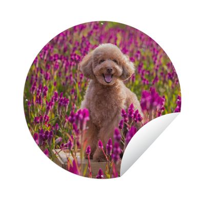 Gartenposter Rund - Hund - Blumen - Lavendel - Frühling - Ø 120 cm - Gartendeko