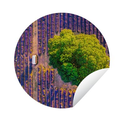 Gartenposter Rund - Luftaufnahme eines großen Baumes in einem Lavendelfeld - Ø 120 cm