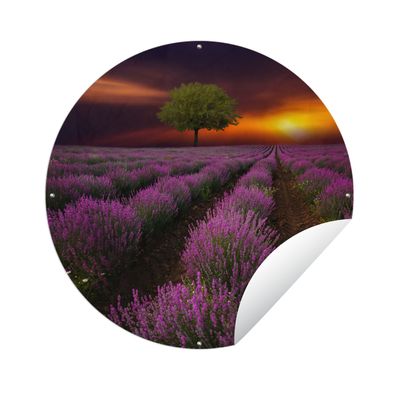 Gartenposter Rund - Schönes Lavendelfeld an einem dunklen Abend mit Sonnenuntergang -