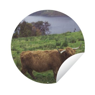 Gartenposter Rund - Schottisches Hochlandrind - Gras - Wasser - Tiere - Ø 60 cm - Gar