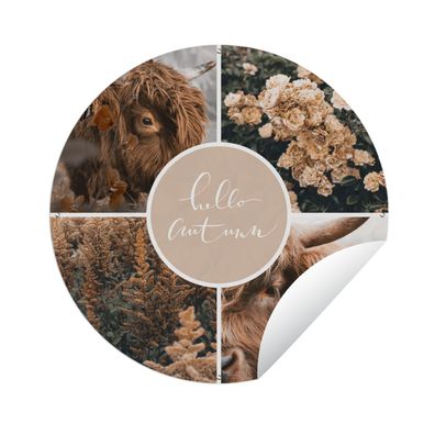 Gartenposter Rund - Schottisches Hochlandrind - Herbst - Collage - Ø 60 cm - Gartende