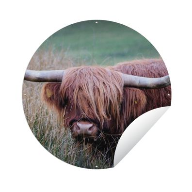Gartenposter Rund - Schottisches Hochlandrind - Hörner - Gras - Ø 120 cm - Gartendeko