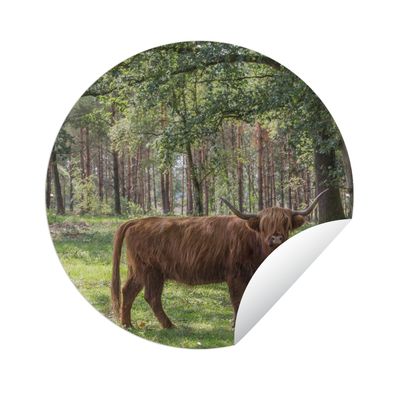 Gartenposter Rund - Schottisches Hochlandrind - Kröte - Baum - Ø 120 cm - Gartendeko