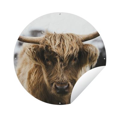 Gartenposter Rund - Schottisches Hochlandrind - Kuh - Gras - Tiere - Ø 90 cm - Garten