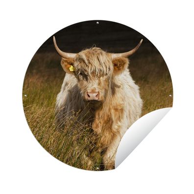 Gartenposter Rund - Schottisches Hochlandrind - Leicht - Gras - Ø 60 cm - Gartendeko