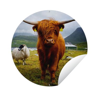 Gartenposter Rund - Schottisches Hochlandrind - Leicht - Schaf - Ø 120 cm - Gartendek