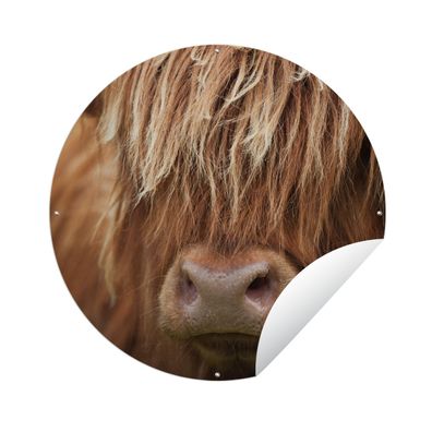 Gartenposter Rund - Schottisches Hochlandrind - Nase - Haare - Ø 150 cm - Gartendeko