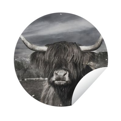 Gartenposter Rund - Schottisches Hochlandrind - Porträt - Schwarz - Weiß - Ø 60 cm -