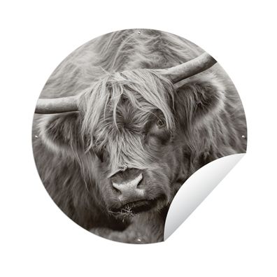 Gartenposter Rund - Schottisches Hochlandrind - Schwarz - Weiß - Hörner - Ø 60 cm - G