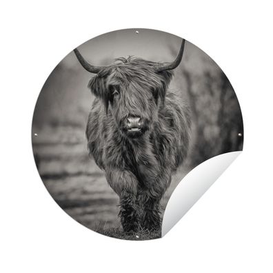 Gartenposter Rund - Schottisches Hochlandrind - Schwarz - Weiß - Ø 150 cm - Gartendek