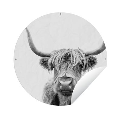 Gartenposter Rund - Schottisches Hochlandrind - Schwarz - Weiß - Tiere - Ø 60 cm - Ga