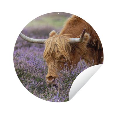 Gartenposter Rund - Schottisches Hochlandrind - Tiere - Heide - Ø 90 cm - Gartendeko