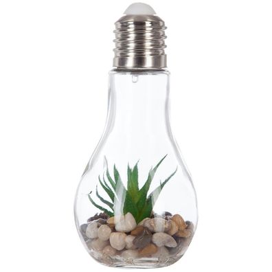 Glass LED-Lampe in Form einer großen Glühbirne, künstpflanze im Inneren - Atmosphera