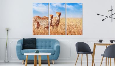 Leinwand Bilder SET 3-Teilig Geparden Serengeti Tiere Wandbilder xxl 5132