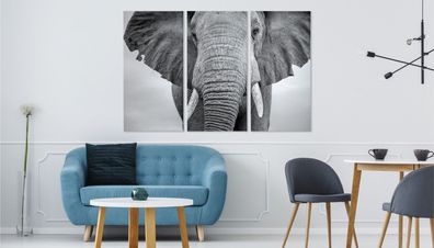 Leinwand Bilder SET 3-Teilig Elefant Natur Tier Nahaufnahme Wandbilder xxl 5162